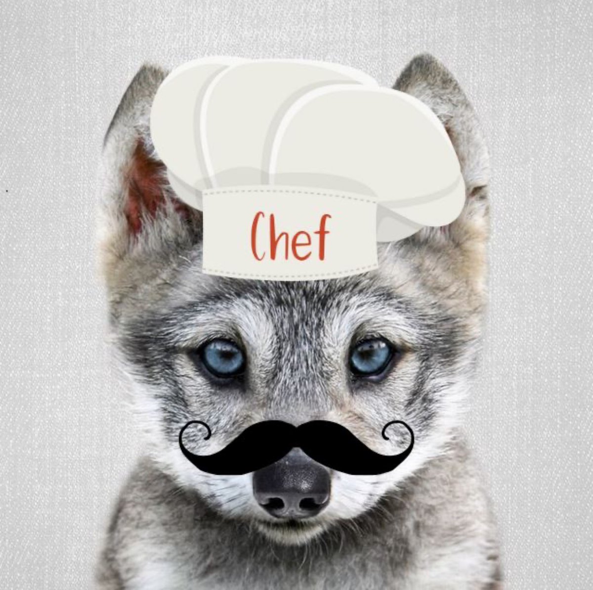 Kacper1784720's tweet photo. @Sartoshi0x You need $howly. 
It’s soooo clear 🐾
Since day one pack is holding strong. Active everyday, fresh memes too. Just a pure community 🫶
🐺 https://t.co/FuTpLYlWQ7