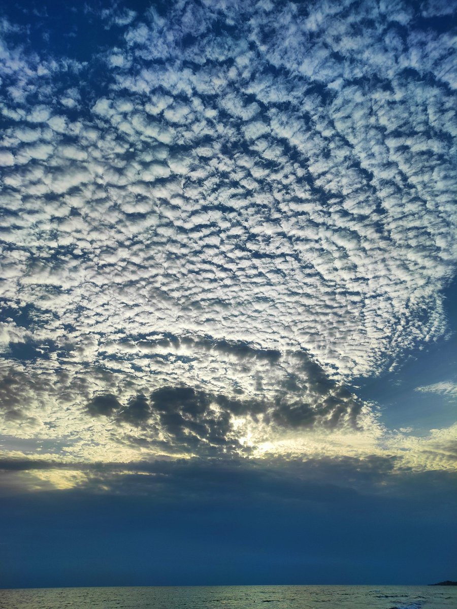 agowitter's tweet image. 🐑🐑🐑 clouds few minutes ago @ThePhotoHour @StormHour