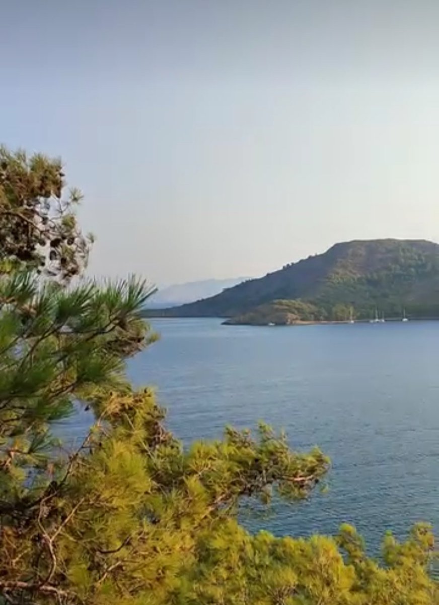 Secil0113's tweet photo. https://t.co/ALaSslDqN8
