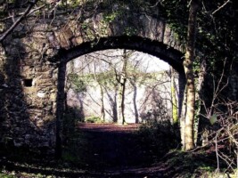 Cafe Chico tweet media