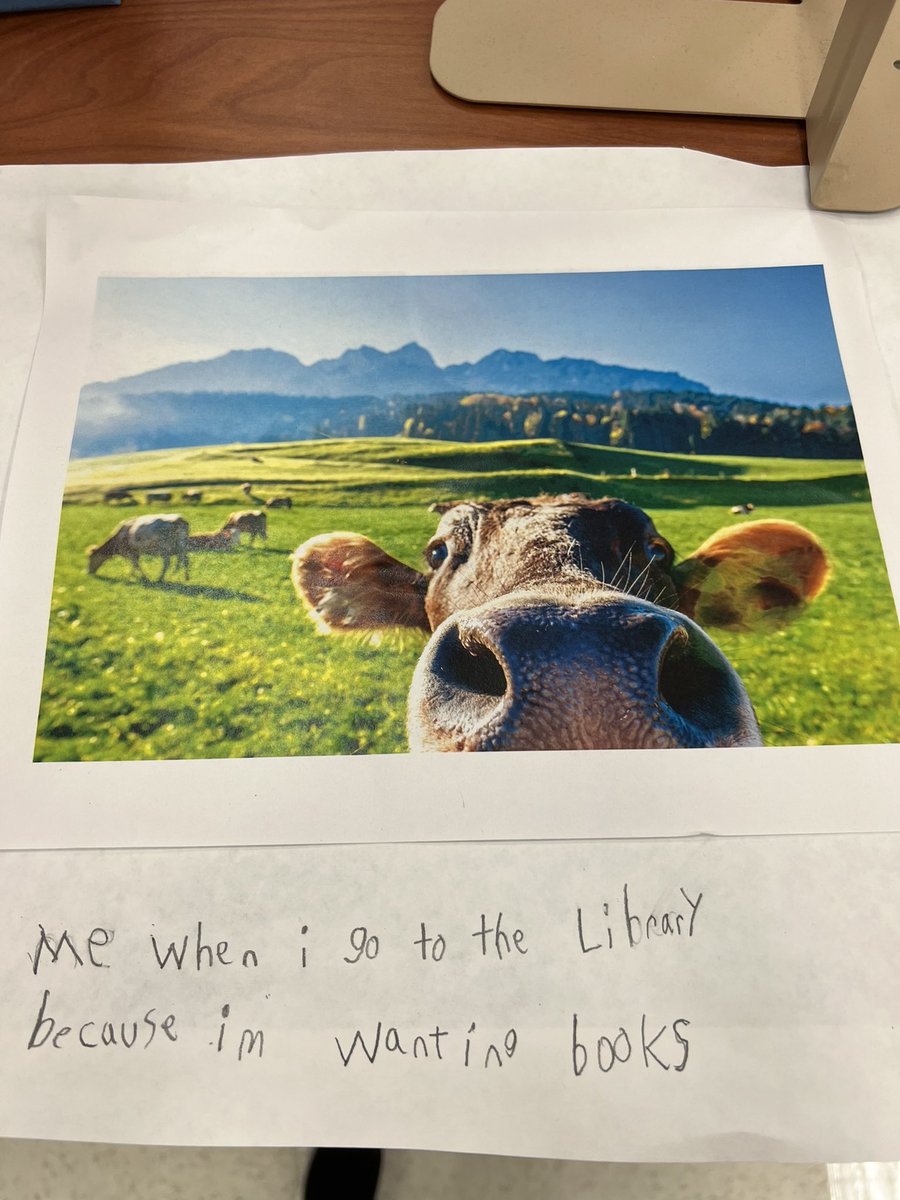 Elisa Gutierrez (@math_egutierrez) on Twitter photo Creating library memes! <a href="/aldinelibraries/">Aldine ISD Libraries</a> <a href="/MarcellaLibrary/">Marcella Library Aldine I.S.D</a> <a href="/MarcellaES_AISD/">Marcella Elementary</a> #AldineImpact Creating library memes! <a href="/aldinelibraries/">Aldine ISD Libraries</a> <a href="/MarcellaLibrary/">Marcella Library Aldine I.S.D</a> <a href="/MarcellaES_AISD/">Marcella Elementary</a> #AldineImpact