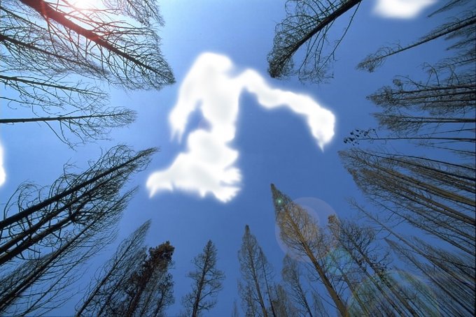 Elbridge Gerry tweet media