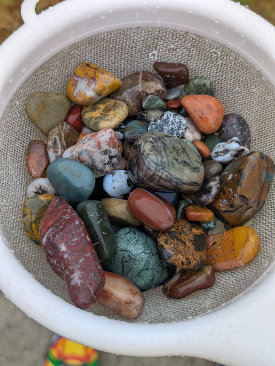 No one takes me to the river anymore how am I supposed to collect more rocks ahhh