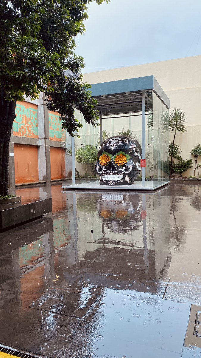 AlineS_Photo's tweet photo. Conocen el Museo de la Muerte en Aguascalientes? Cuando escuché su nombre, no se me antojó visitarlo en absoluto. Pero cuando pasé por ahí, me llamó la atención el café que está en la entrada, así que luego de echar un vistazo decidí regresar al sig día y no me arrepiento nada. https://t.co/CHZvmE79l1