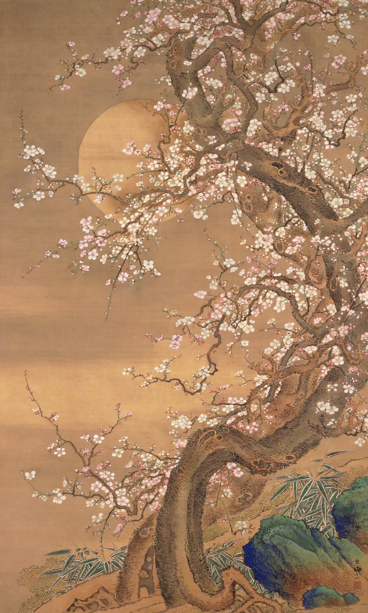 Pink and White Plum Blossoms in Moonlight, by Sō Shizan, late 18th century