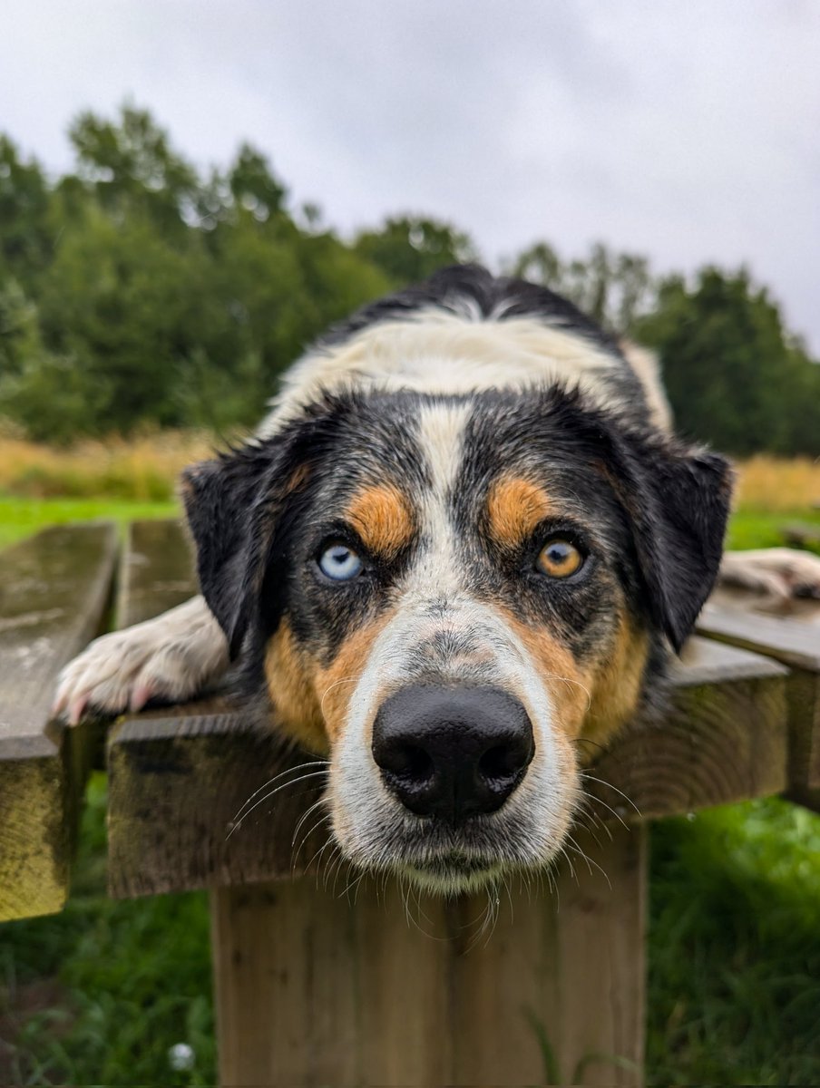 Paul Steele aka BaldHiker tweet media