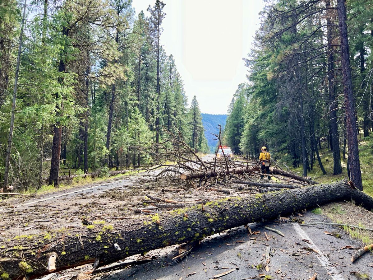 YakimaSheriff's tweet photo. #RetreatFire update. August 15, 2024, 45,601 acres, containment is 70%; 367 total personnel; Hwy 12 is closed. Crews need to replace 2,100 feet of guard rail. Crews continue to work on hazard trees, removing equipment, road grading, and dozer line repair. #wawildfires #wawx https://t.co/yQUSbNQE6Z