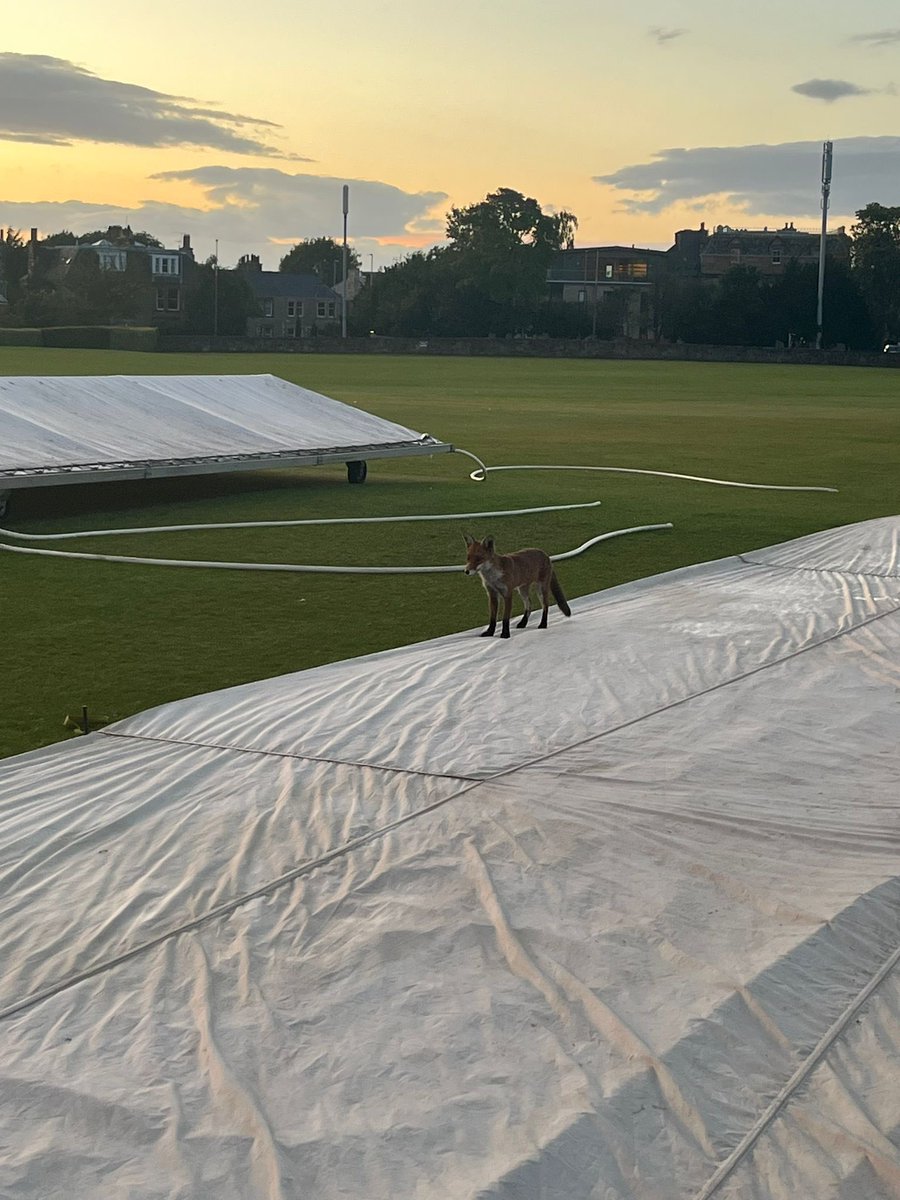 Had someone watching 👀 to make sure the square was getting coved correctly