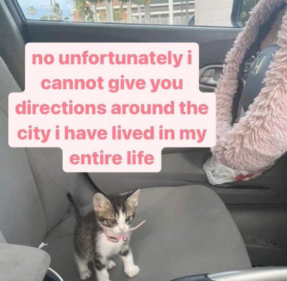 literallymecats's tweet photo. https://t.co/JMLK0kT7ds