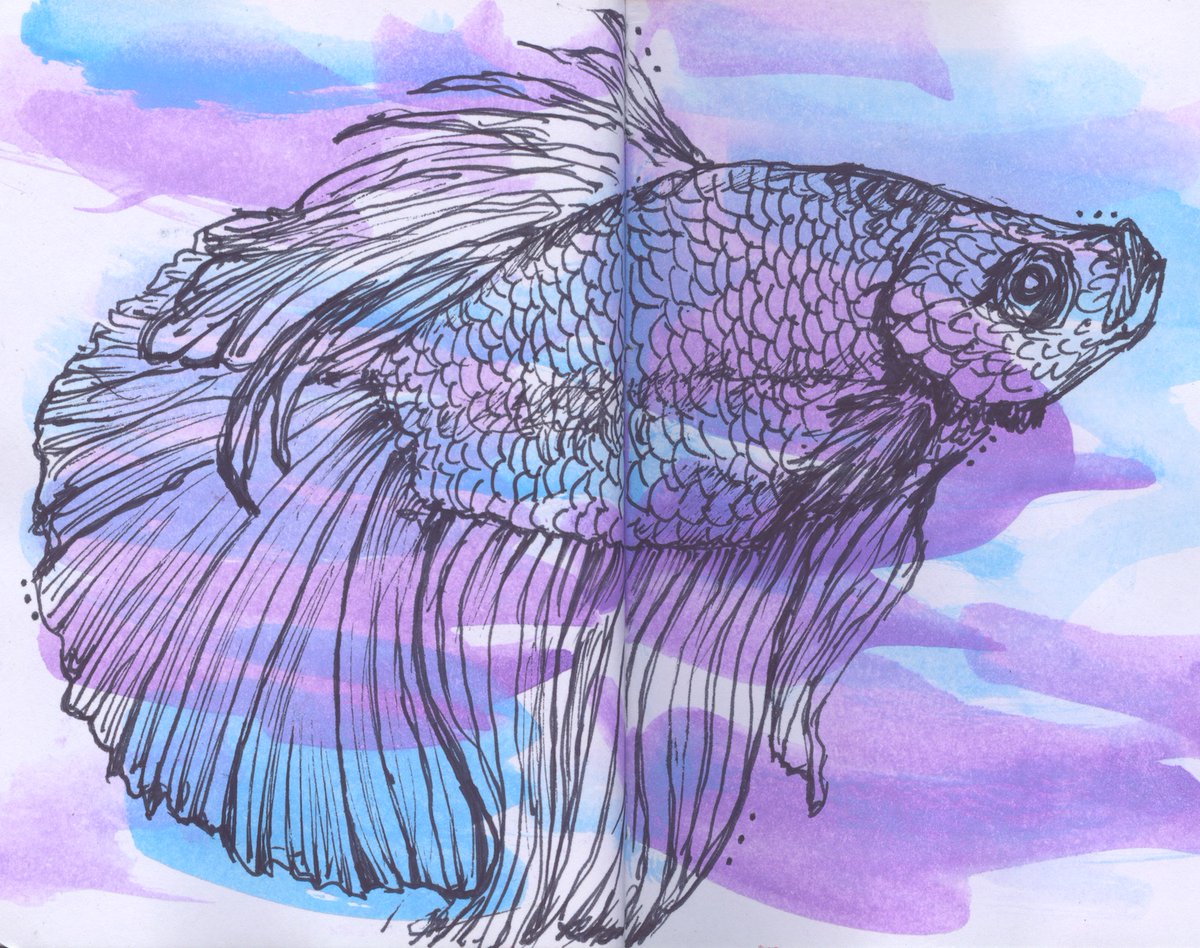 sheilasinghal's tweet photo. A straggler I'd forgotten about in my series of quick sketches on random pre-painted background. Fish are not my forte. 😄 #betafish #betafishsketch #fishsketch https://t.co/caSs2BhgzM