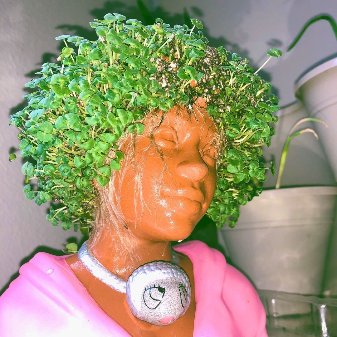 Chia Pet (@chiapetofficial) on Twitter photo She is the moment. No notes. 📝 💅 <a href="/icespicee_/">ice spice ☆</a>
amazon.com/dp/B0CLFGX6RX?…
📸 <a href="/rafikidawurst/">rafikidawurst</a> (IG)
#icespice #icespicechiapet #icespicefan #icespicefans #icespicelike #icespiceedit #icespiceeedit #plantmom #plantdad #plantgoals She is the moment. No notes. 📝 💅 <a href="/icespicee_/">ice spice ☆</a>
amazon.com/dp/B0CLFGX6RX?…
📸 <a href="/rafikidawurst/">rafikidawurst</a> (IG)
#icespice #icespicechiapet #icespicefan #icespicefans #icespicelike #icespiceedit #icespiceeedit #plantmom #plantdad #plantgoals