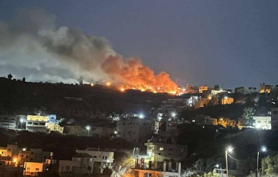 Globe Eye News tweet media