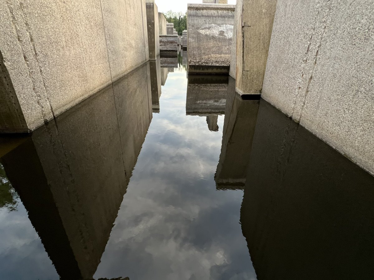 WurfTwain's tweet photo. Hier nog wat beeld van het Waterloopbos in Flevoland. Had er nog nooit van gehoord. Leve Google Maps. #flevoland #waterloopbos #nederland #fotografie https://t.co/cfrPDib828