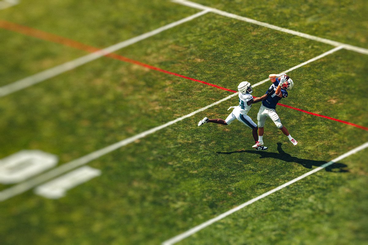 Riley Howland tweet media