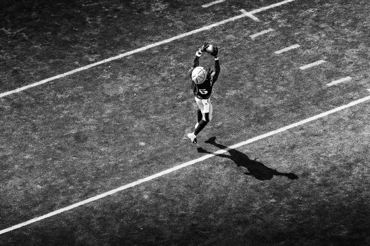 Riley Howland tweet media