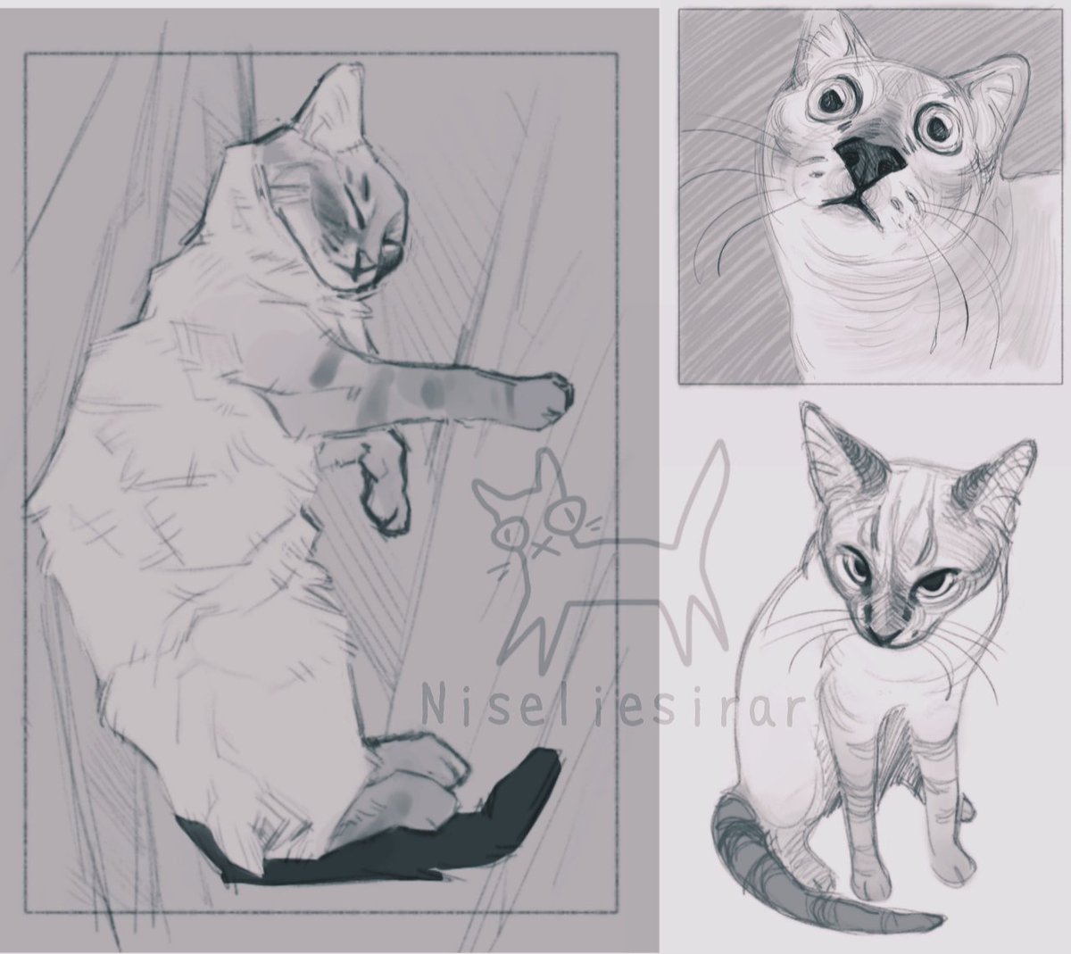 Niseliesirar's tweet photo. so silly)

#Catscommunity #CatsofTwittter #cats #art #sketches #animalart https://t.co/H2cn1BlLFM