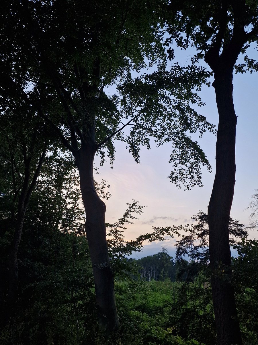 Goodnight my lovely friends.