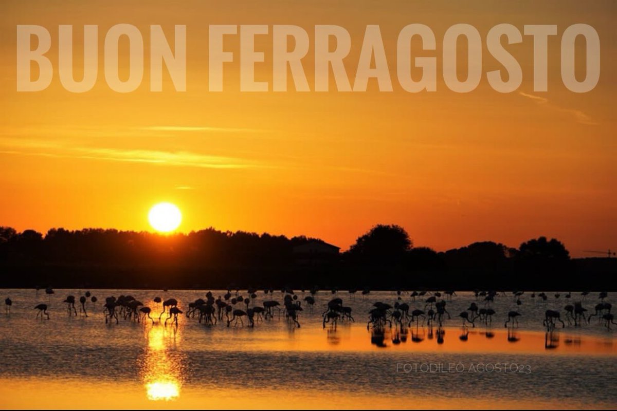 Sono ancora in tempo per il Buon ferragosto