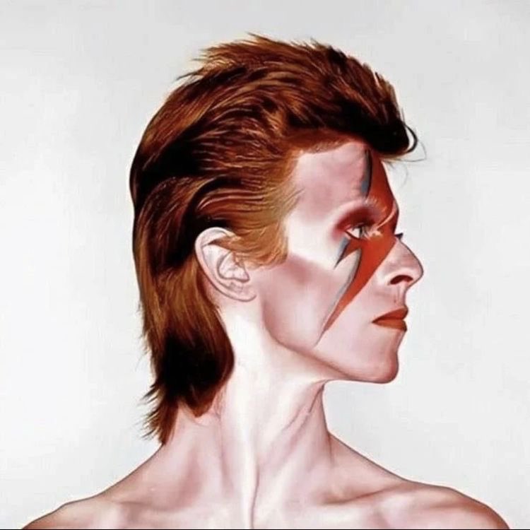 daily david bowie tweet media