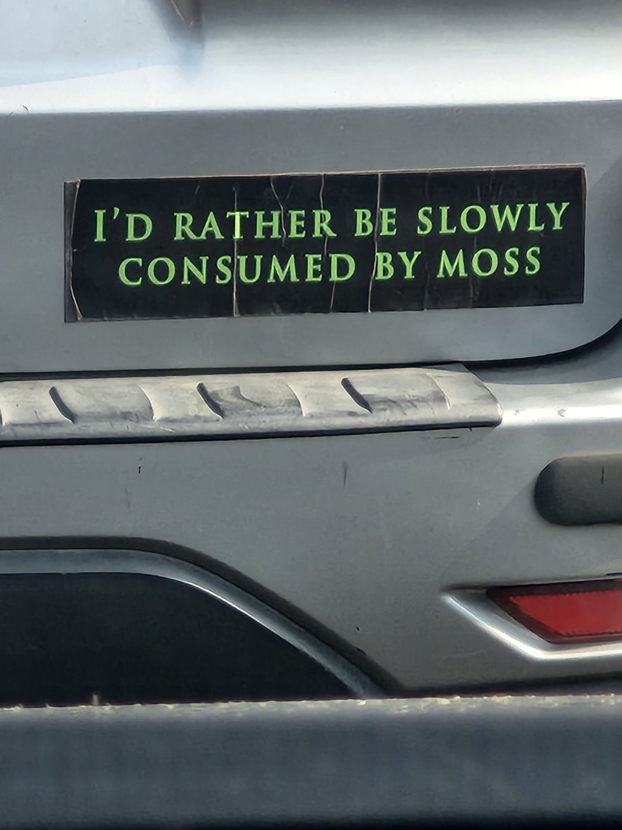 Mood of the day