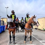 Photo by ASPoliceHorses (@ASPoliceHorses)