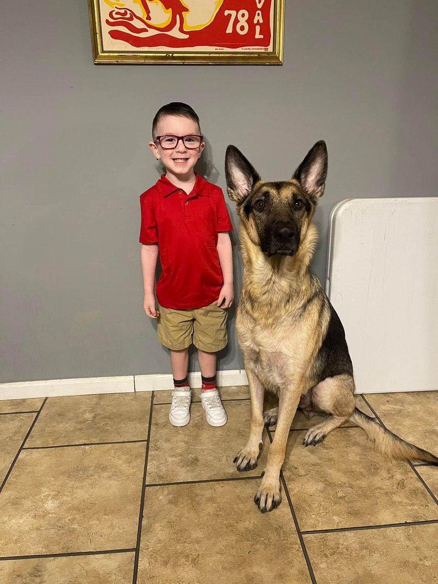 skysims_12's tweet photo. First day of school for our baby boy❤️ Your mommas love you so much little man ❤️ https://t.co/aJJpp62rZG