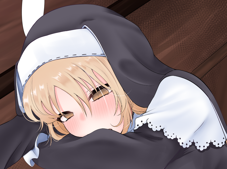 clrさんWIP
最近堕とす側ばっかりだったので久々に堕ちてもらいます 