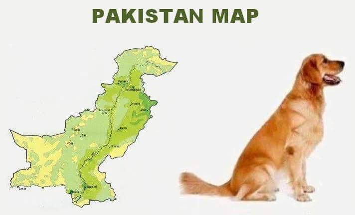 Terrible Maps tweet media