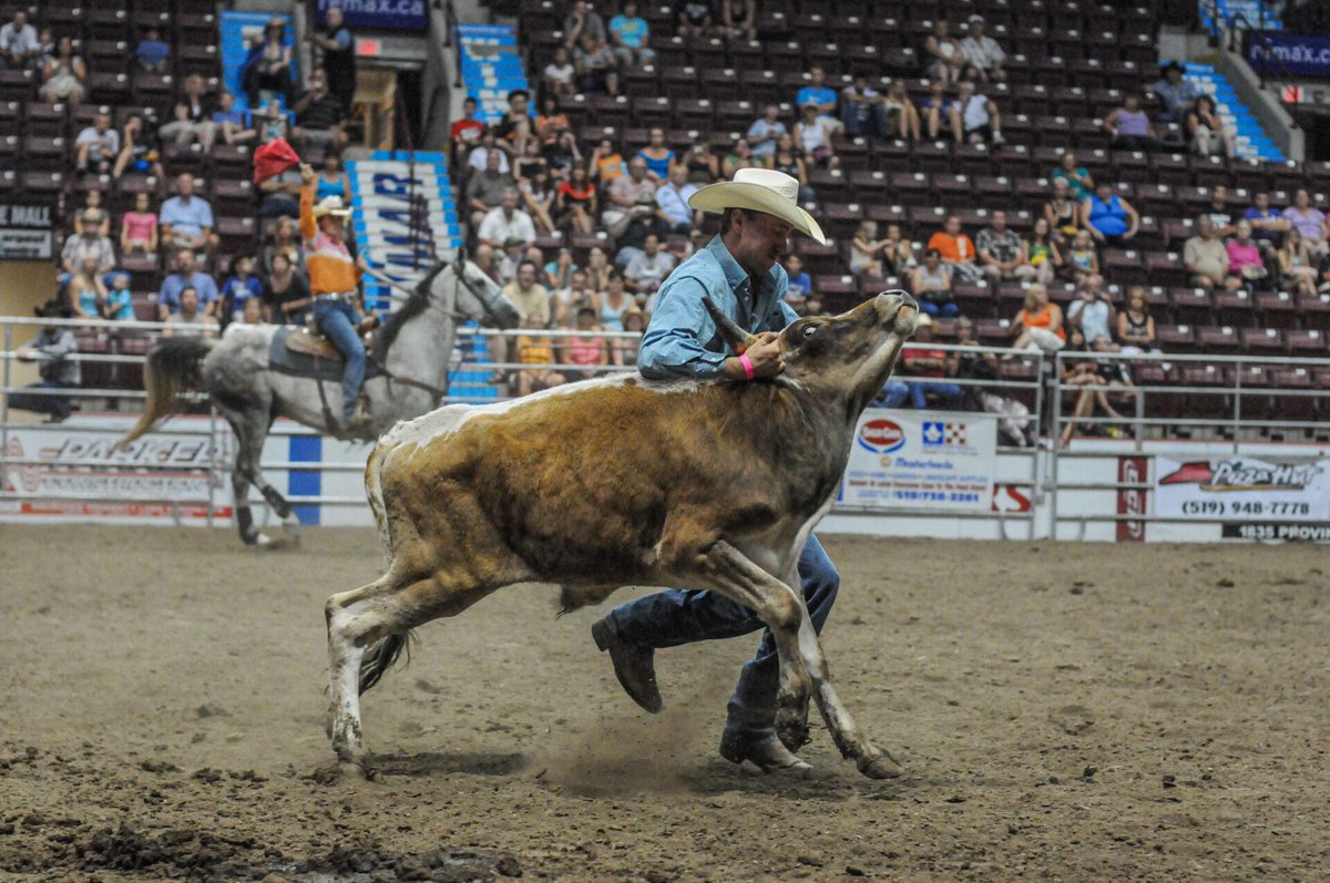 .@vanhumane:  NEW poll shows significant increase in public opposition to rodeo  dlvr.it/TBz1tg