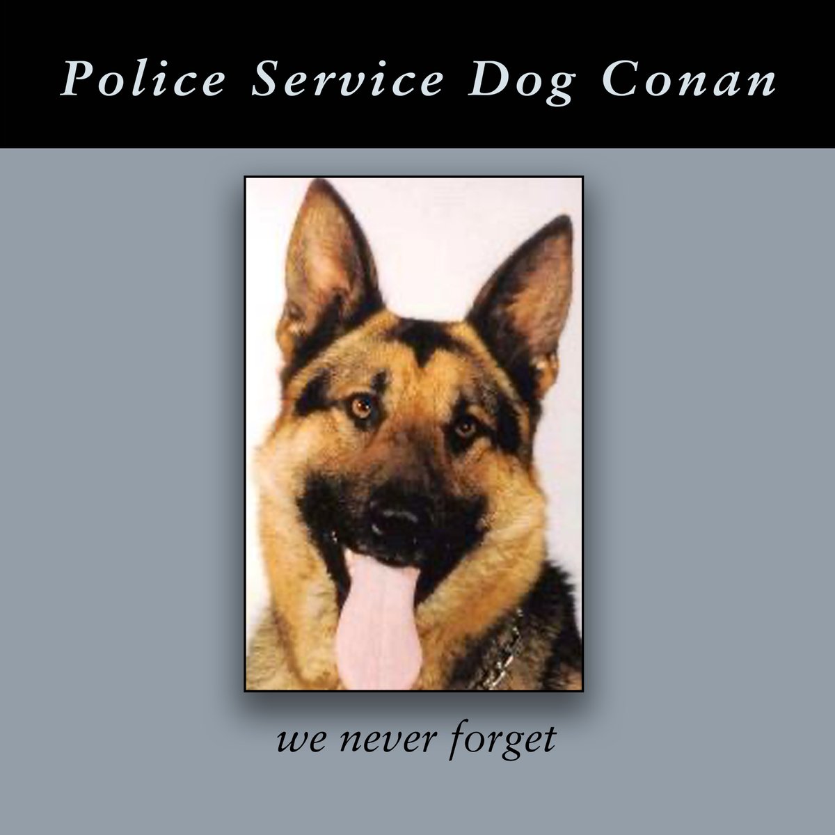 AdamPalmerRCMP's tweet photo. We #NeverForget #VPD Police Service Dog 'Conan' who was killed in the line of duty 40 yrs ago today in the 2600 blk E Broadway while searching for a suspect at an alarm call with his partner, Cst. Steve Gibson @VPDCanine #HeroDogs #GSD #PoliceK9 #K9Heroes @VancouverPD https://t.co/Hqq888gUJG