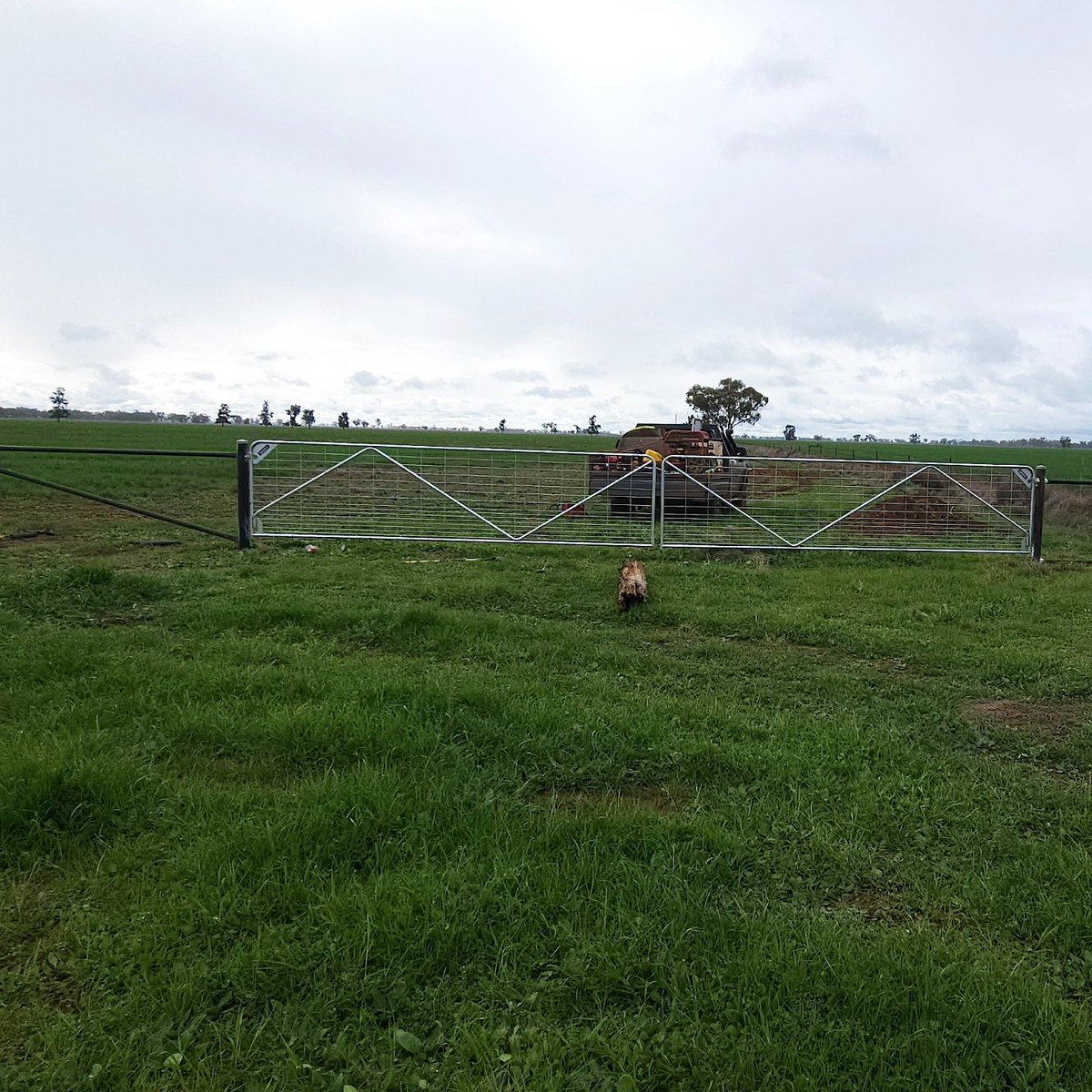 pasin23's tweet photo. Swinging Gates! One of many improvements happening on the "Plains" https://t.co/nqFbFpB1g8