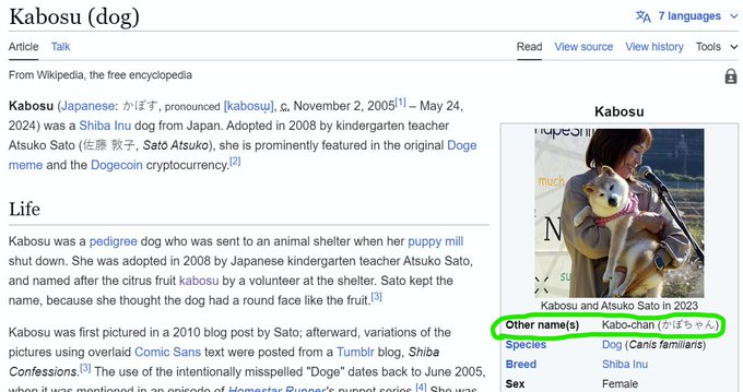 KabochanInu's tweet photo. If you missed $DOGE or $NEIRO make sure you're ready for $KABO. What's the narrative? It's Doge's other name! https://t.co/l52Wk1R7Sf