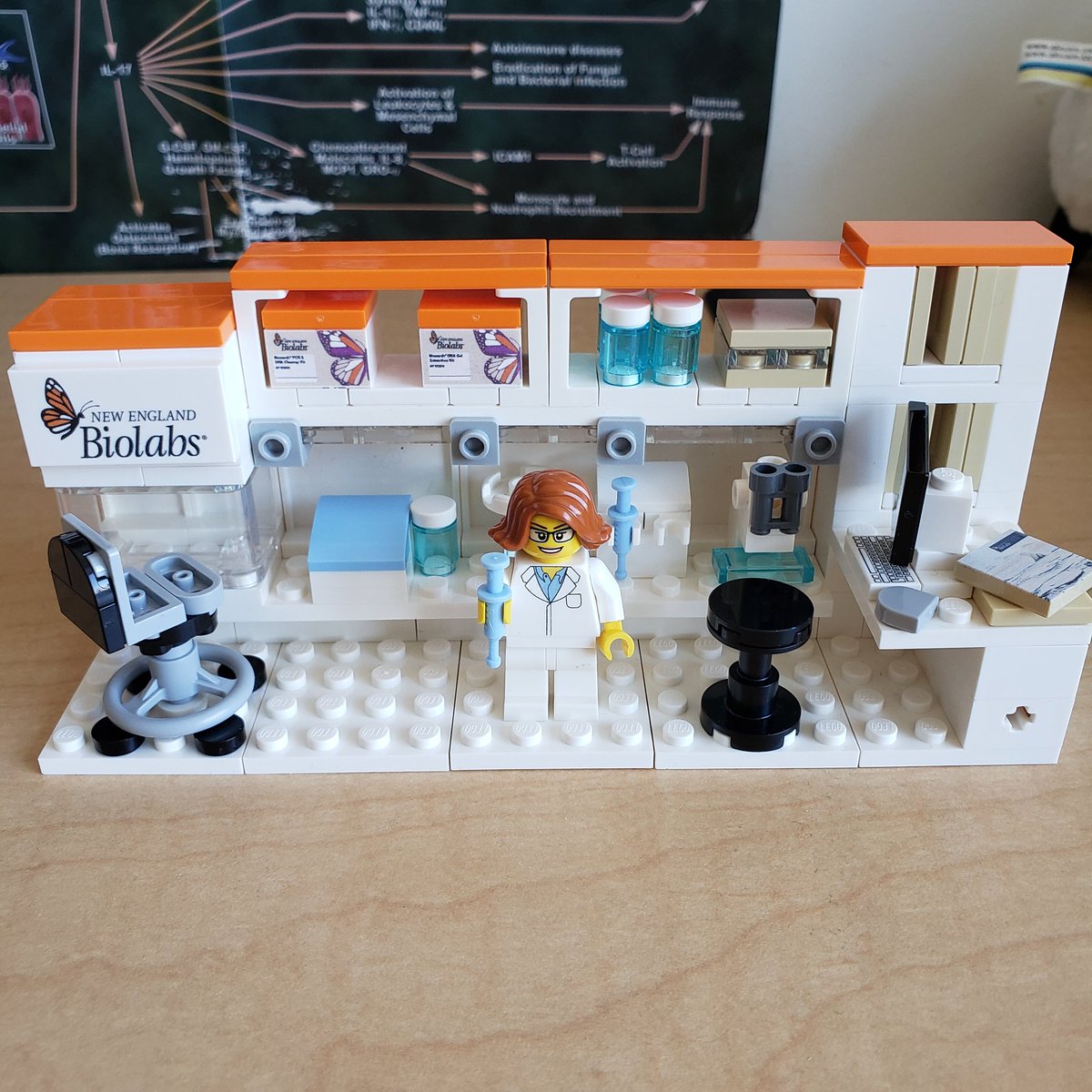 Kate Choi tweet media