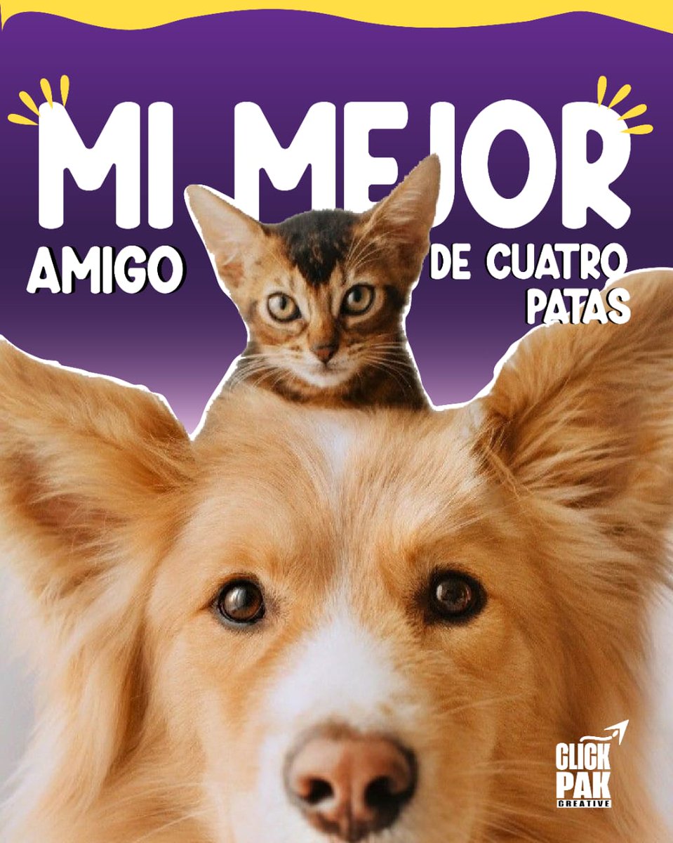 Clickpcreative's tweet photo. #15Ago Nuestro mejor amigo tiene 4 patas 🐱🐕 Es peludo y siempre tiene amor para darnos. 

¡Cuida de ellos! 💖🐱🐕

#Jueves #Marketing #digitalart https://t.co/ODbPnRX1e0