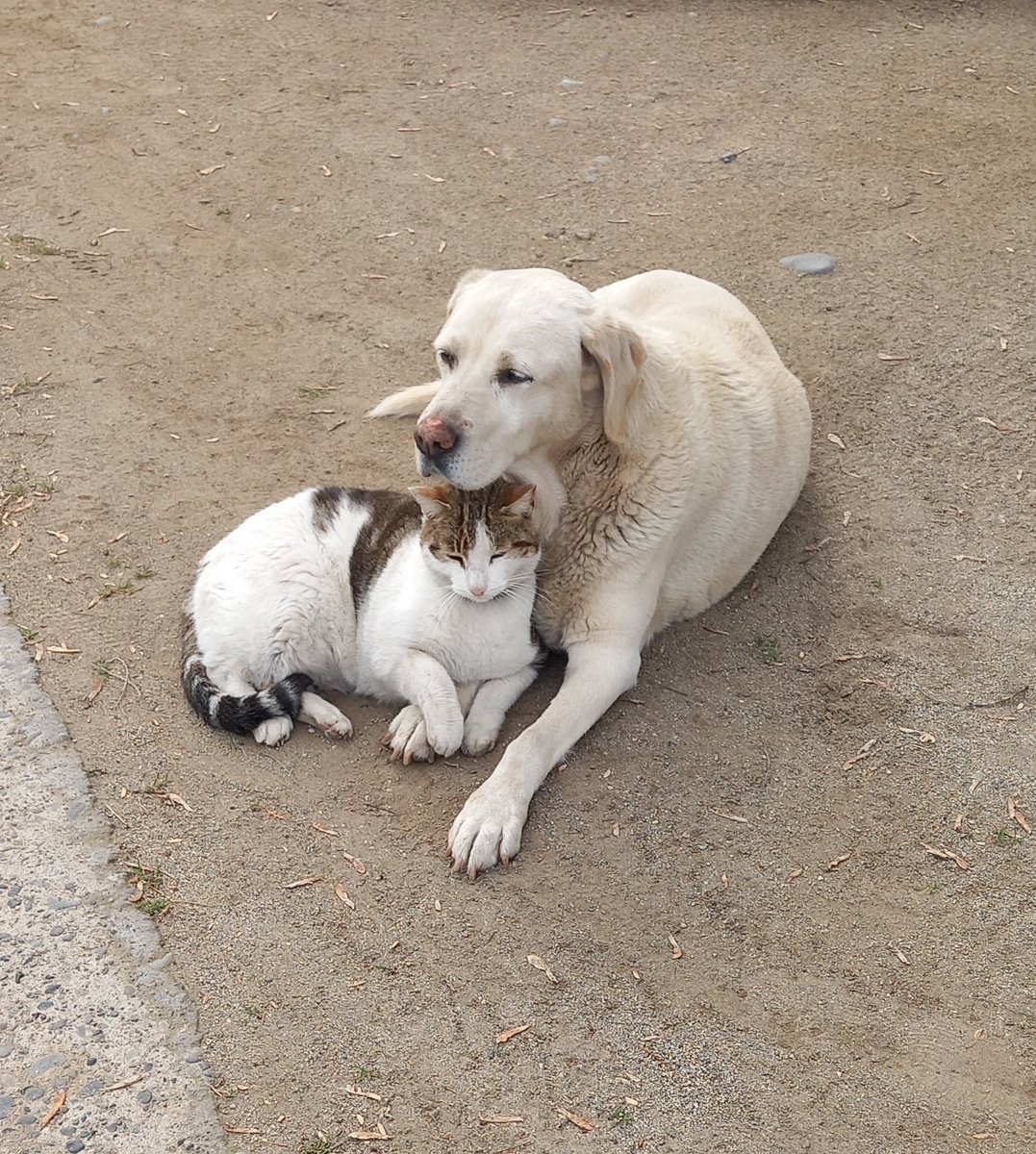 The real love!! Lo más tierno y real que verán hoy!!