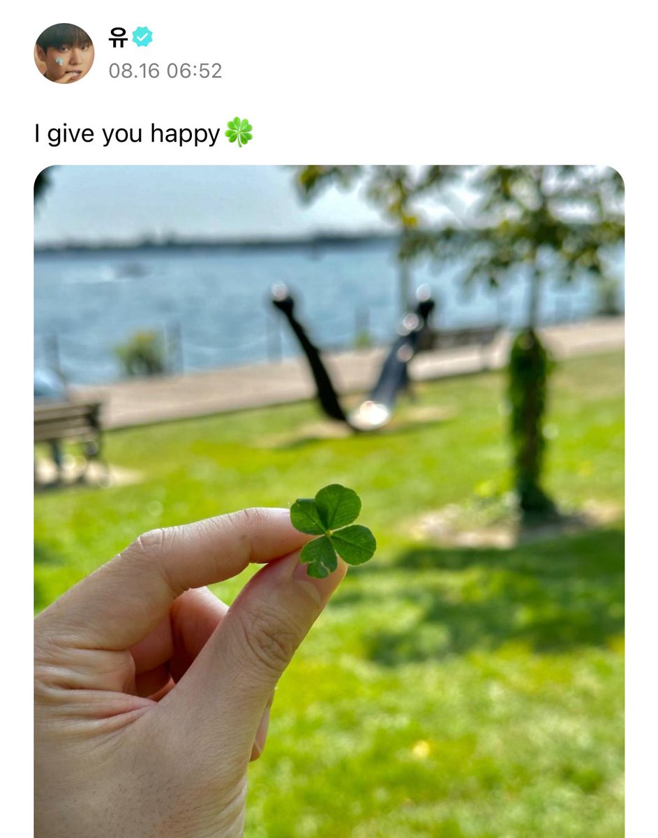 0803dB's tweet image. yuto 🥹🍀