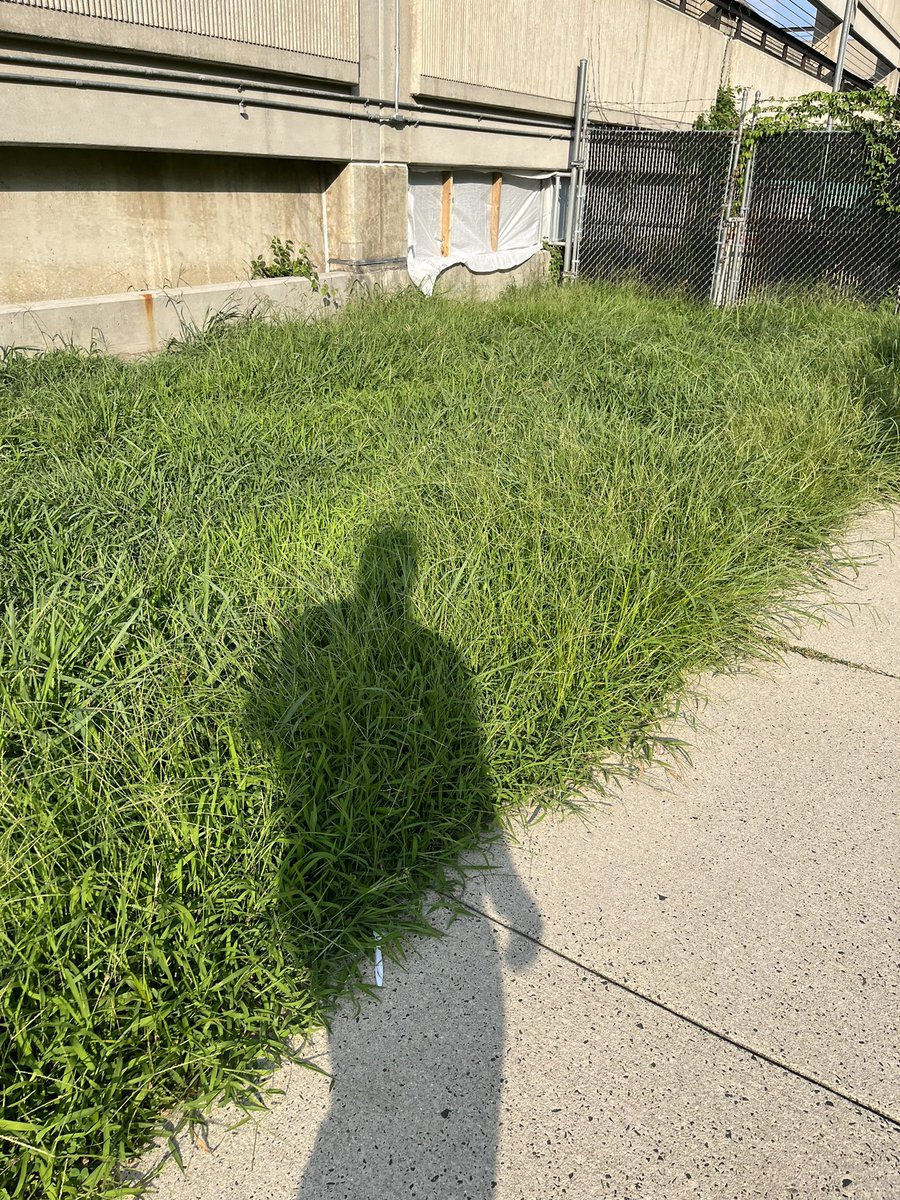 runningnearzero tweet media