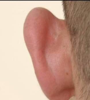 Doksan milyar dolar kadar bütçe açığı var.
Diyanete her gün 10 milyon dolar..
Sıfır çeken çocuklar yetiştiren devlet  eğitimine günde 125 milyon dolar gidiyor..
Saraylar var, uçaklar var, konvoylar var…
Sineklerin uçtuğu havaalanlarına garanti ödemeleri var..
600 sayın