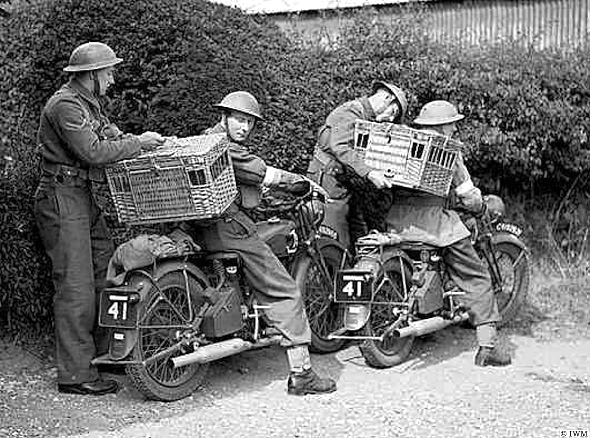 BritainsMilHist's tweet photo. August 15, 1940. Royal Corps of Signals dispatch riders transporting carrier pigeons in baskets strapped to their backs.

#RoyalCorpsofSignals

https://t.co/tq0dvsKh2W https://t.co/KbKONF8TUe