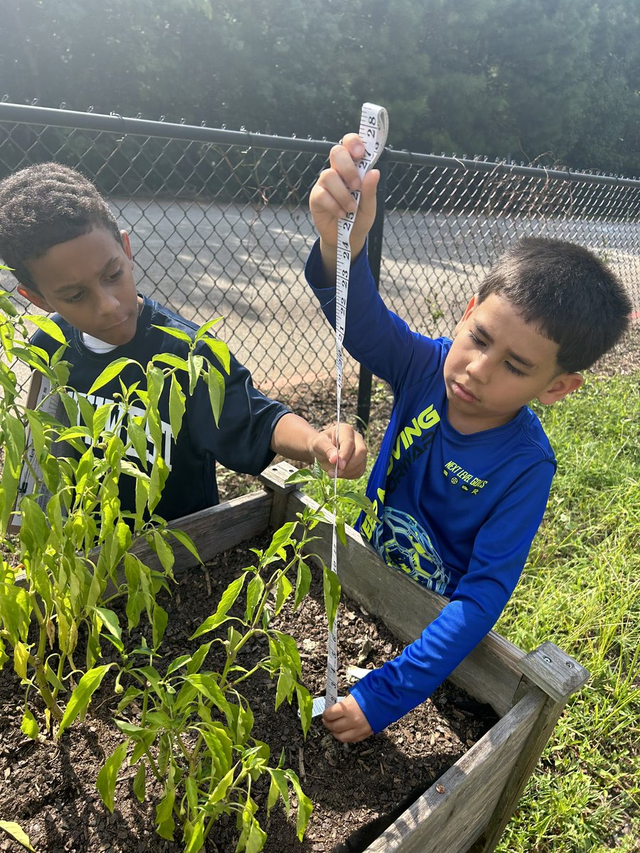 Kaitlin Todaro (Denhart) tweet media