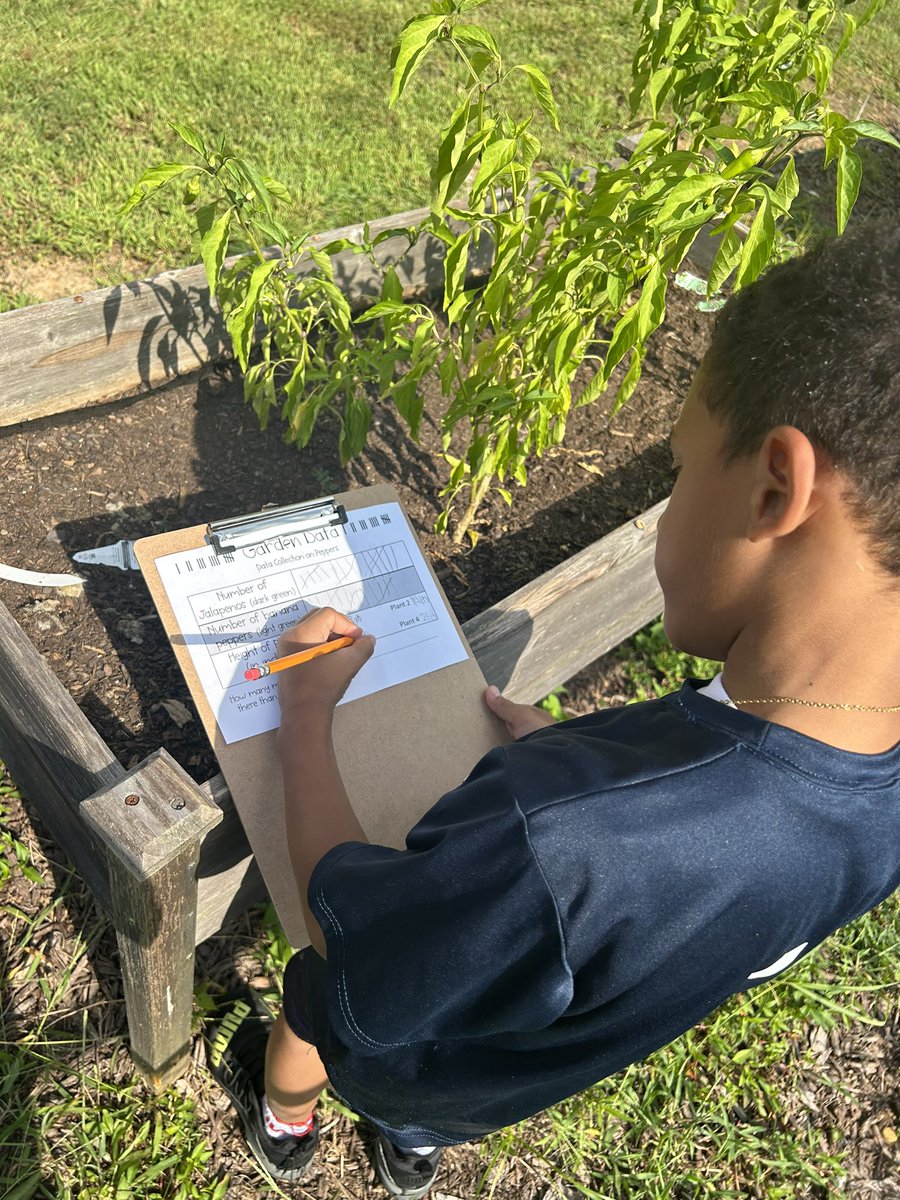 Kaitlin Todaro (Denhart) tweet media