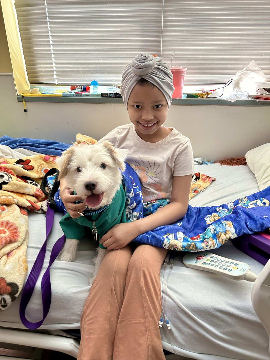 DekeHenriFurry's tweet photo. Today is my brother Bark’s birthday! 
Celebrate by sponsoring a “FURENDS” blanket for a child battling cancer. 
Please follow the link ➡️:
https://t.co/daydv2XNYp
Thank you! 💜
~ Deke🐾
#TherapyDog
#FURENDSBlanket 
#PawYouNeedIsLove https://t.co/YDjovyU5J9