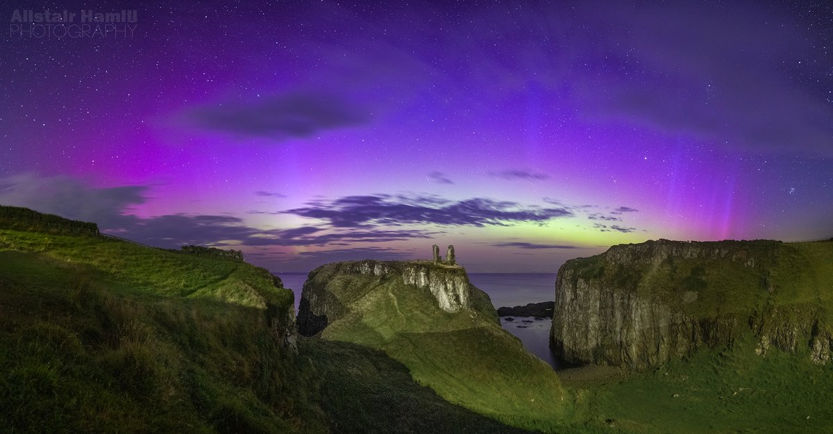 Alistair Hamill tweet media