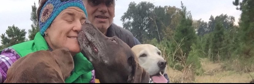 trickstertrish's tweet photo. @LabradorYuki https://t.co/mAVlJJch2c