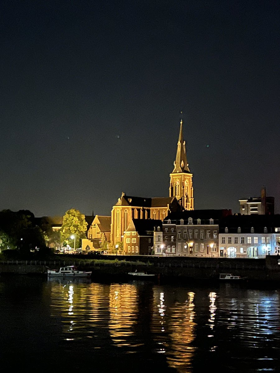 Fungal🍄 soil communities from Alpine ⛰️ Arctic and Antarctic 🇦🇶 environments and possibile effects of climate change 🌡️ in my presentation at the #IMC12NL. An incredible congress, filled with groundbreaking researches 🔬🧪⚗️🧬 here in Maastricht