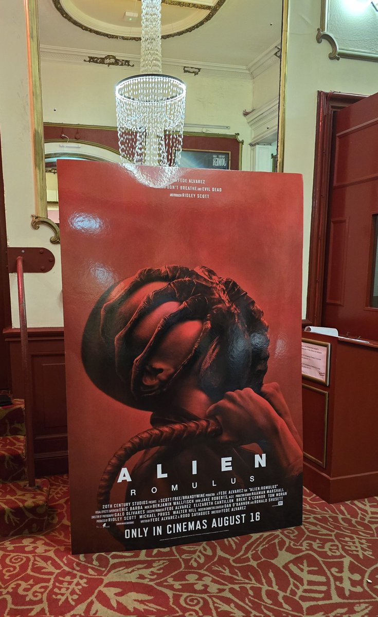 NomiMalones's tweet image. 