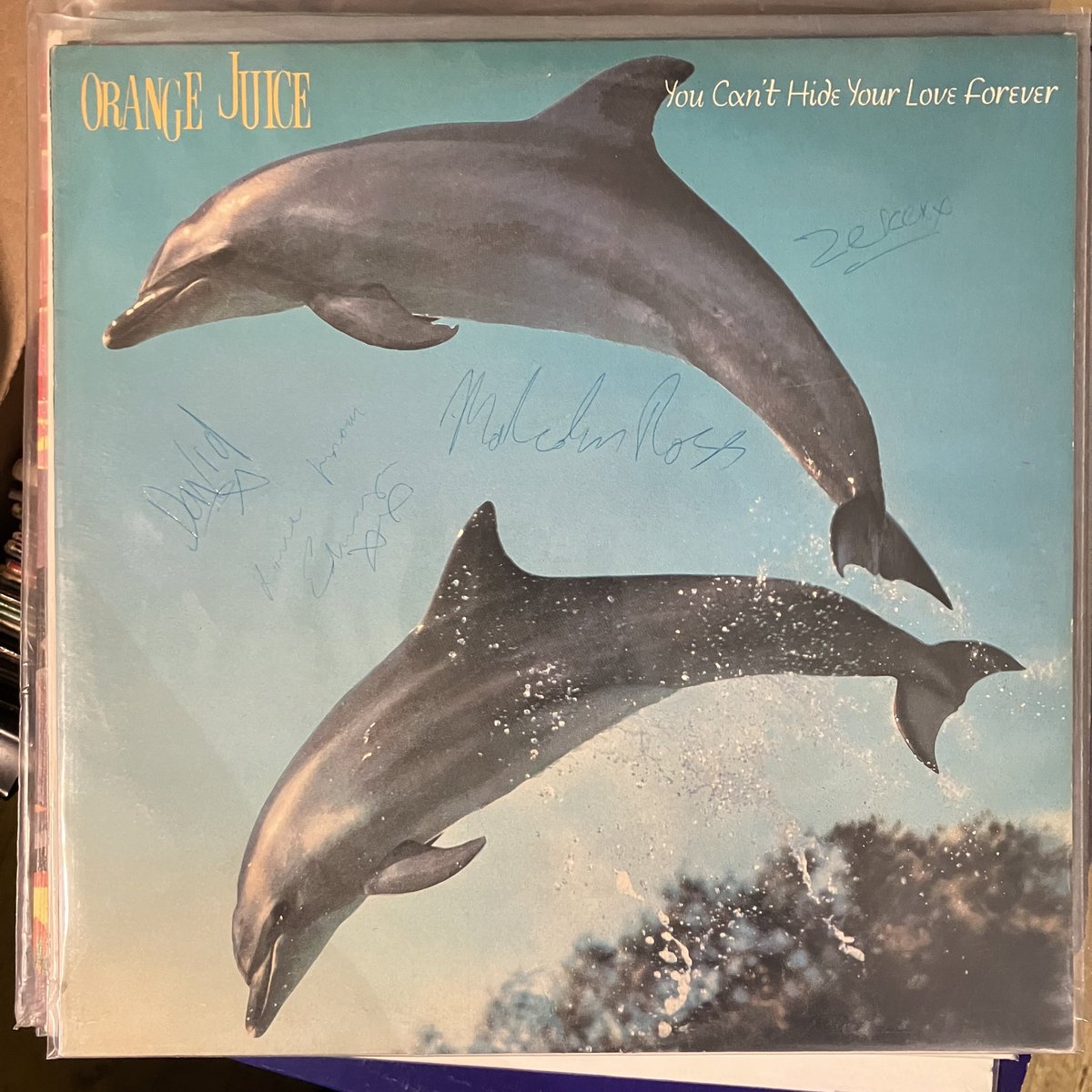 Malcolm &amp; Zeke signing this album was a boss move 😆 Definitely one of our favorites of the 80’s! 🐬 🏴󠁧󠁢󠁳󠁣󠁴󠁿

#orangejuice #postcardrecords #glasgow #80s #eightiesmusic #edwyncollins