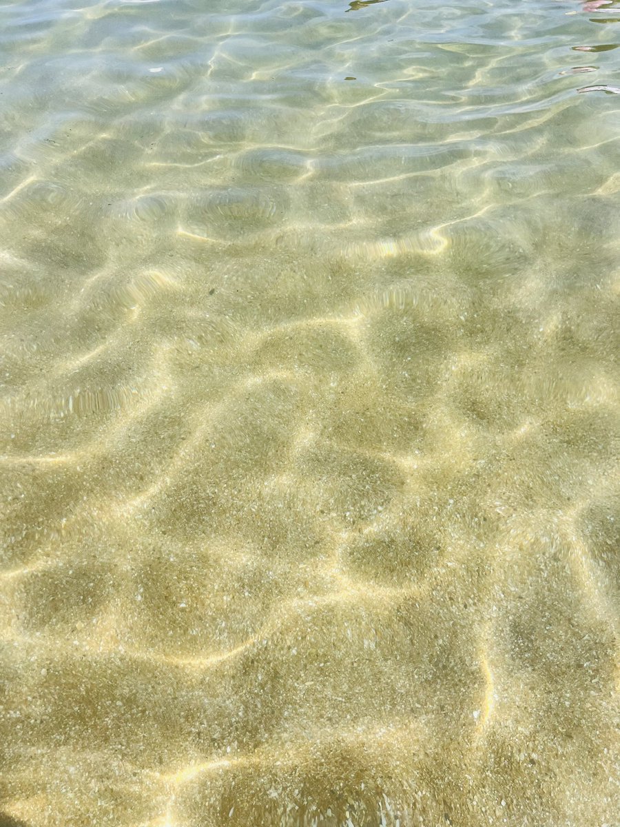 nonmamalil's tweet photo. 14海
15プール

私の夏休み終了！ https://t.co/Coft7yXgHC