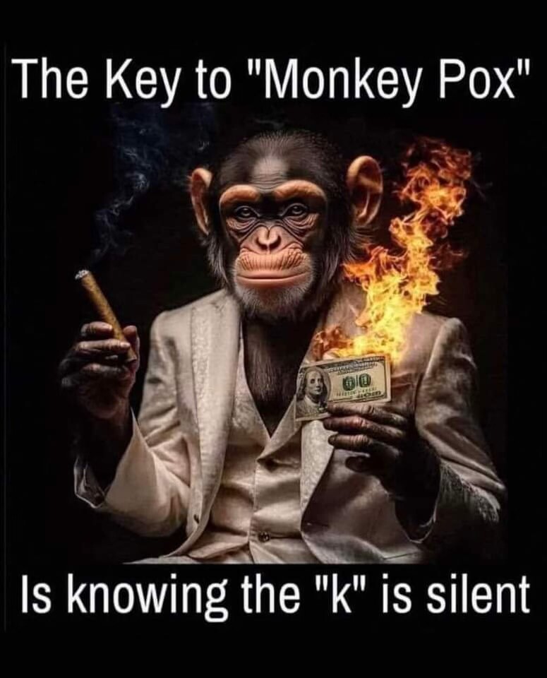 Money Pox Scamdemic Plagues Election 2024