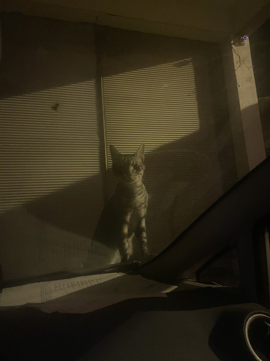 ebrutasova's tweet image. Senden uzakta kulağıma hep senin sesin gelir #canımoğlum 🥲